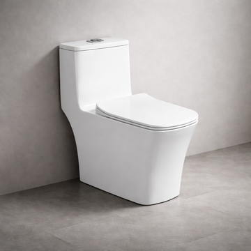 Solid One Piece Toilet - White